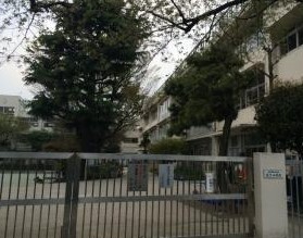 ライオンズマンション駒沢 小学校
