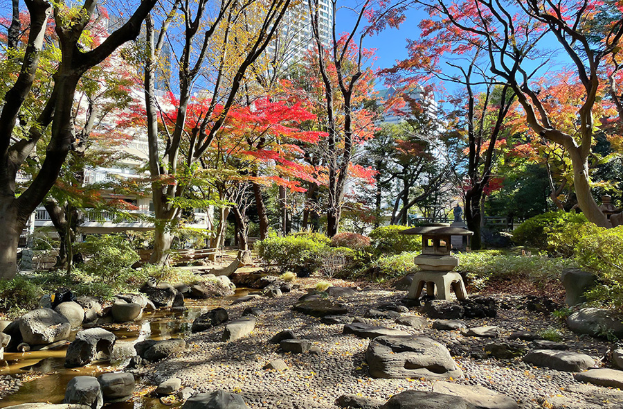 ローザ赤坂 公園