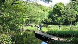 パレス三條 公園