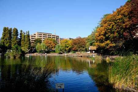メセーヌ 公園