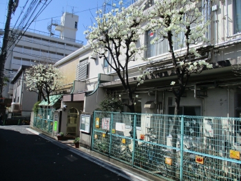 エクセルシオール新宿西戸山 幼稚園