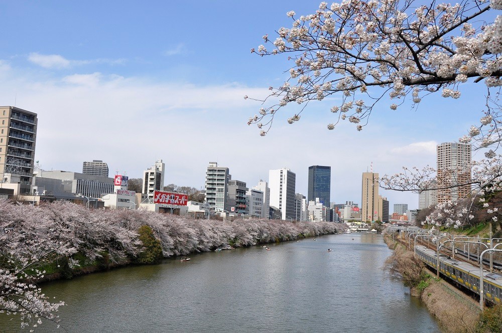 ドミール五番町 その他