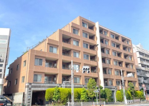 アデニウム学芸大学 現地写真