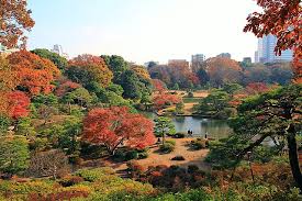 フォレンツタワー文京千石 公園