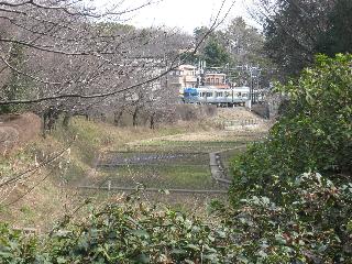 シーアイマンション駒場Ａ棟 公園