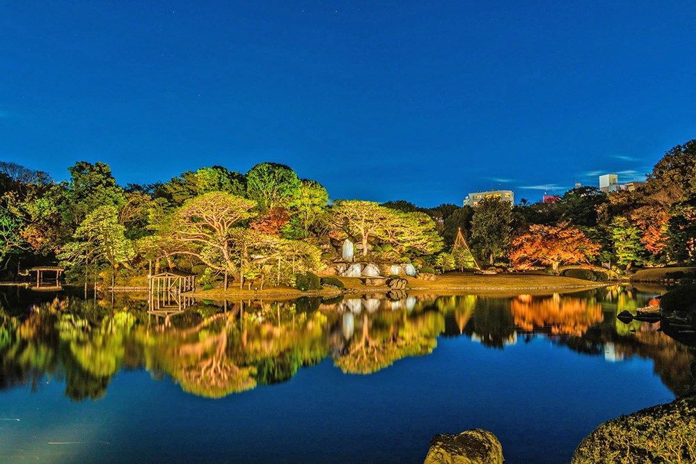 ライオンズマンション六義園 その他