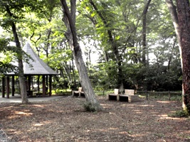 ヴィークコート浜田山 公園