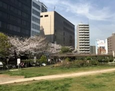 アルティザ東銀座 公園
