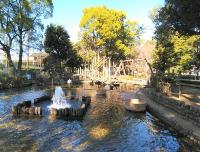 サンクタス大森ヴァッサーハウス 公園