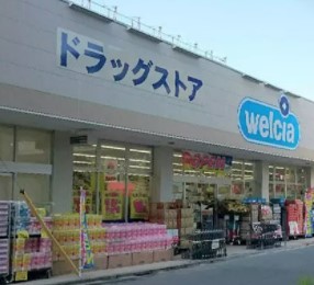 パークスクエア武蔵小杉 ドラッグストア
