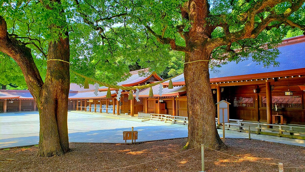 シャトレー代々木 その他