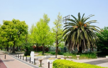 グランイーグル川崎東Ⅱ 公園