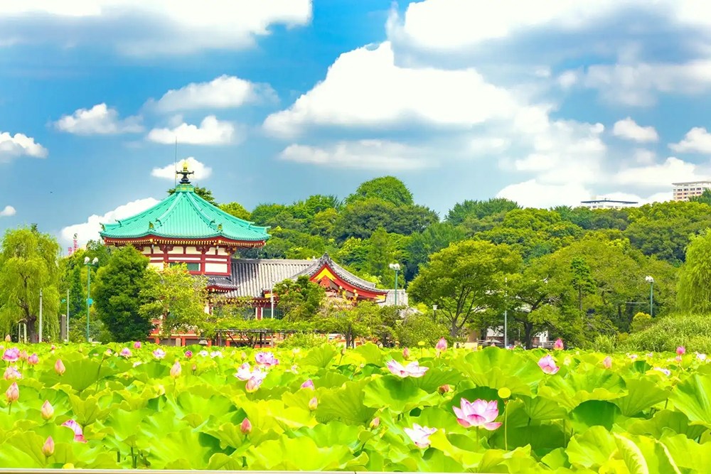 藤和シティホームズ上野山伏町 その他