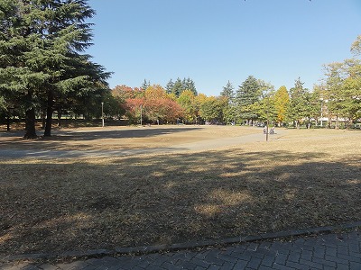 たまプラーザ東パーク・ホームズ 公園