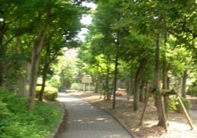 ライオンズマンション東陽町第３ 公園