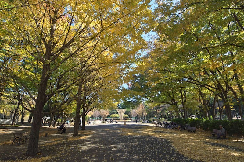 パラッシオ赤塚公園 その他