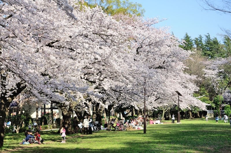 パラッシオ赤塚公園 その他