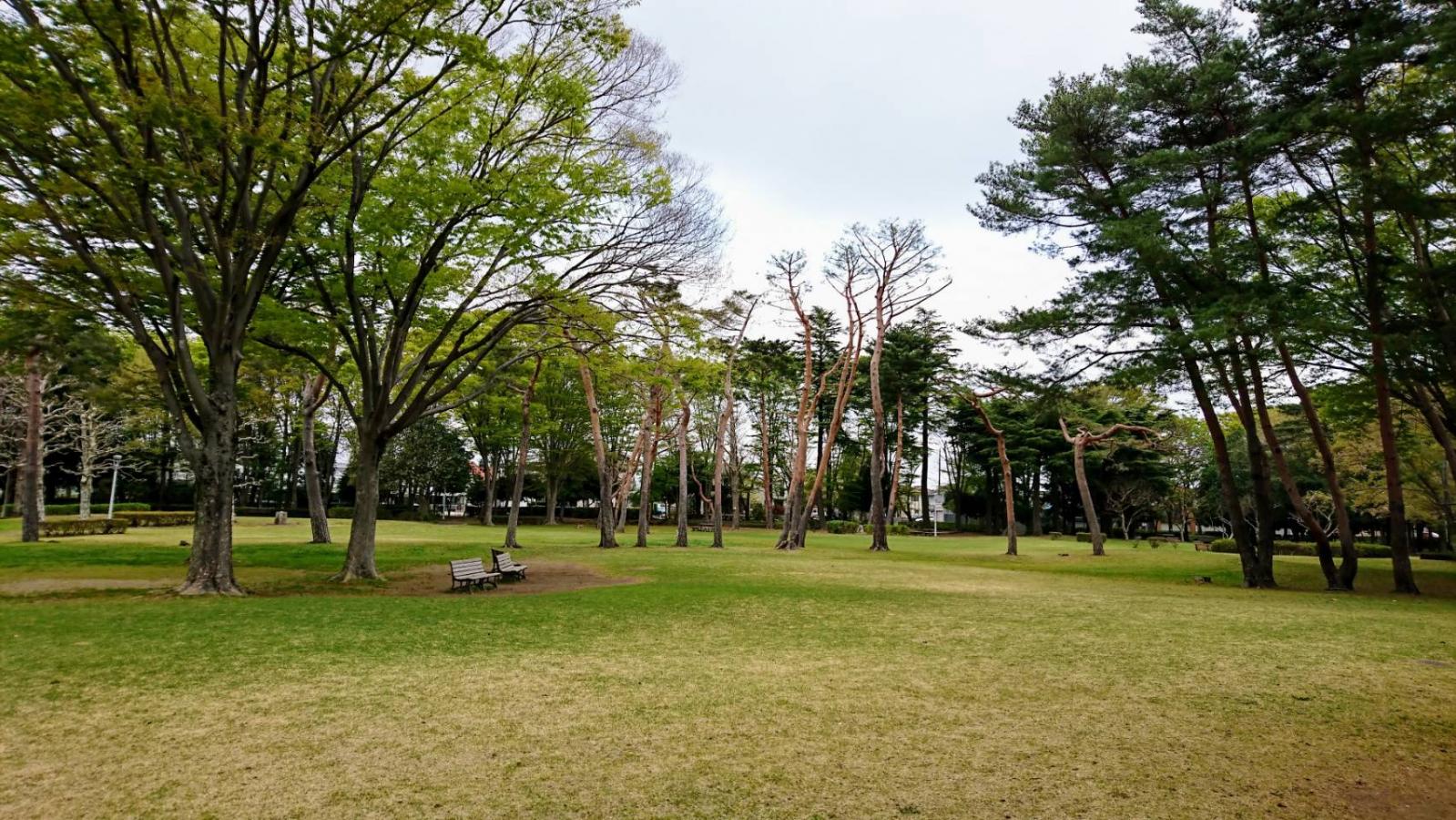 パラッシオ赤塚公園 公園
