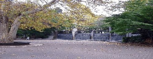 高円寺サマリヤマンション 公園