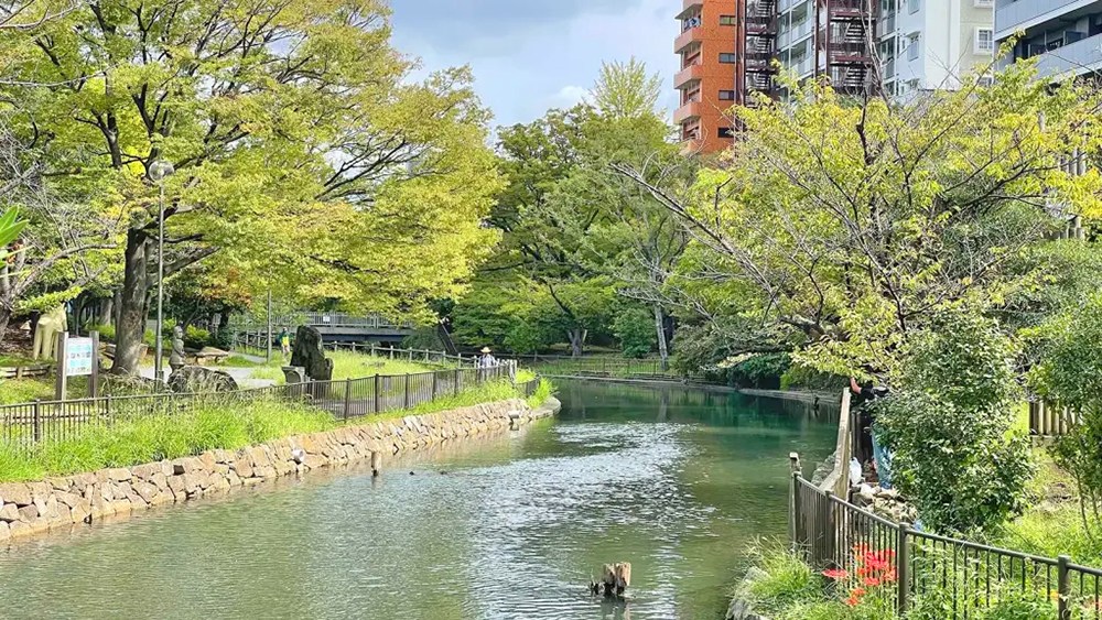 ハイマート門前仲町 その他