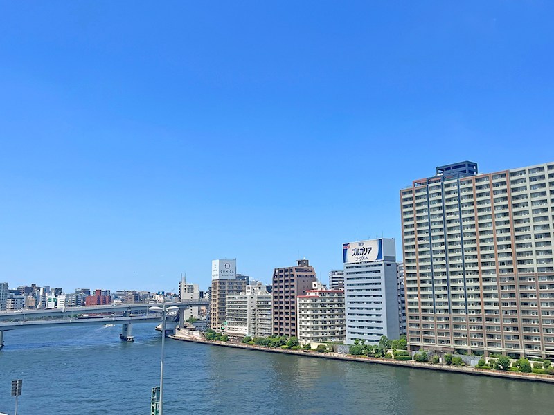 パークヴィスタ日本橋浜町 眺望写真