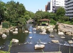 ツインシティ１番館エトランズ東砂 公園