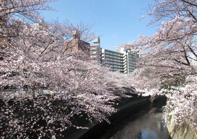 ＢＥＬＩＳＴＡ早稲田 その他