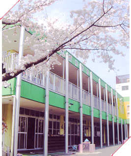 メイロイヤル綱島 幼稚園