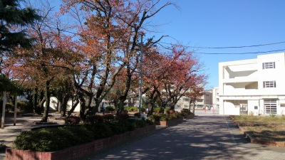メイロイヤル綱島 小学校