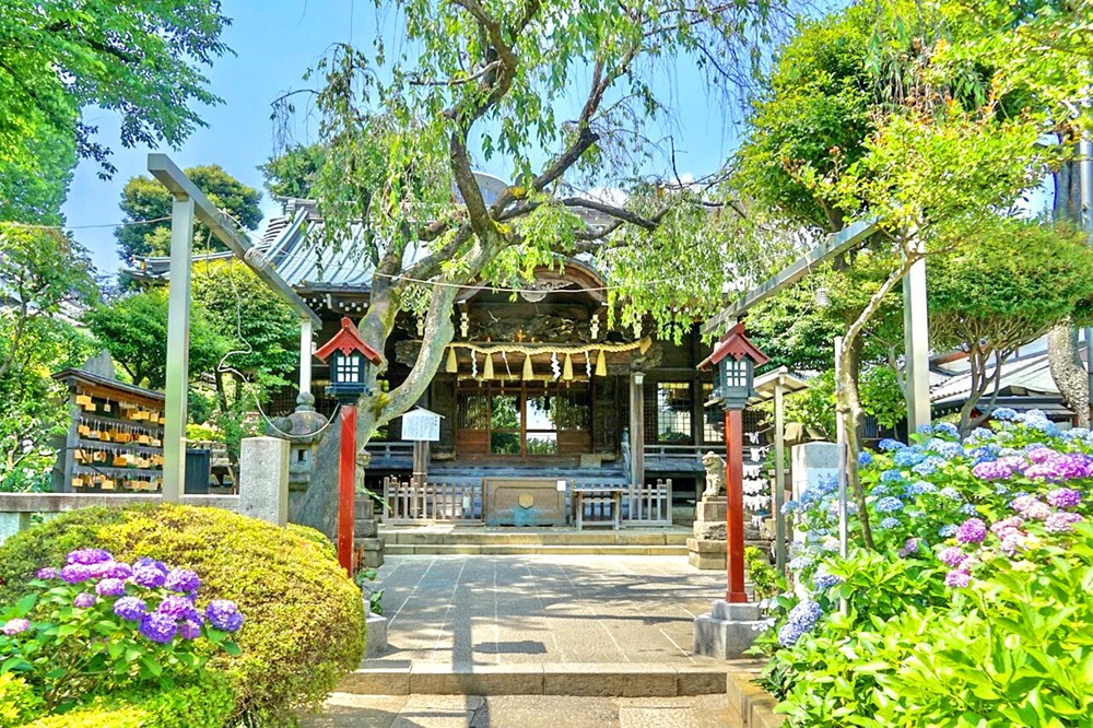 グランドシティ白山 その他