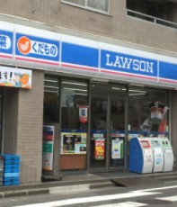 ナイスステージ田園調布南 コンビニ