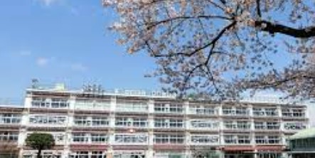 ライオンズマンション阿佐ヶ谷第2 小学校