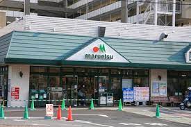 デイパーク横濱天王町 スーパー
