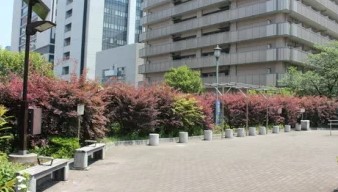 ピアース銀座レジデンス 公園