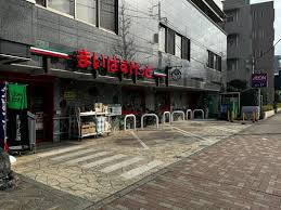 レクセルマンション石神井公園 スーパー