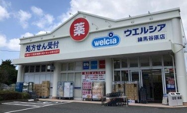 レクセルマンション石神井公園 ドラッグストア