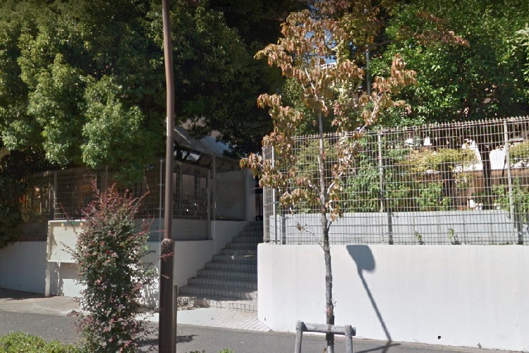 レクセルマンション石神井公園 幼稚園