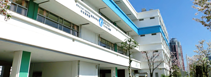 ザ・タワーズ台場　ＷＥＳＴ棟 小学校