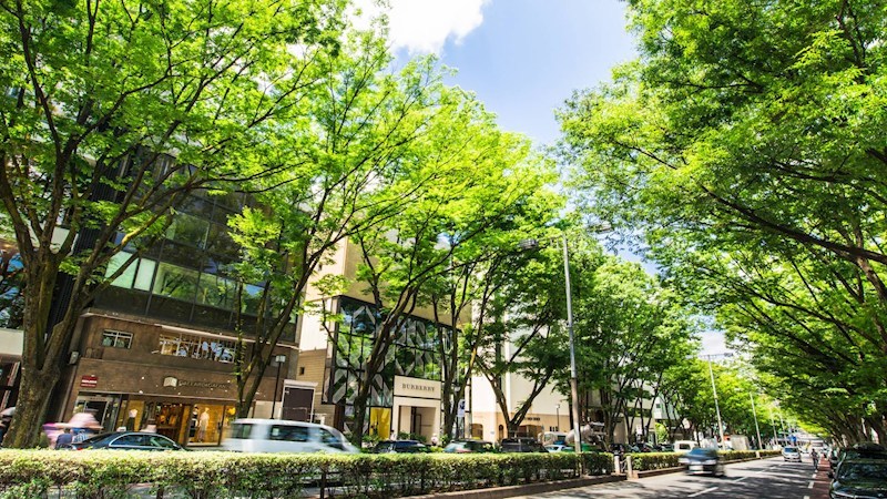 ラ　ヴォーグ南青山 その他