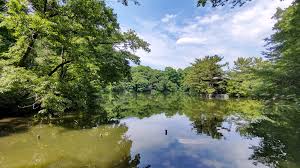 フォレステージ石神井公園 公園