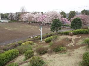 ヴィルヌーブ保谷 公園