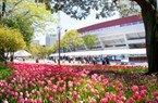 フェニックスヨコハマスクエア その他