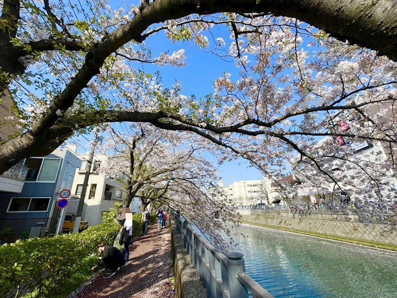 ベイサイトコート横浜 その他