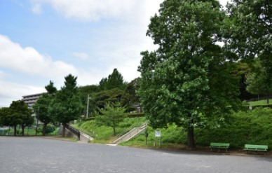 アリュール横濱新子安 公園