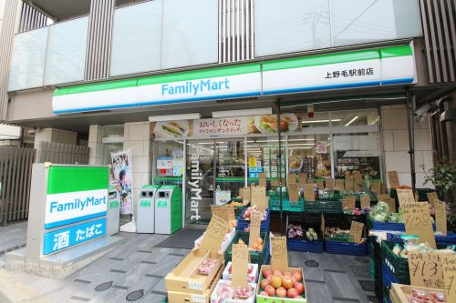 ライオンズマンション上野毛第２ コンビニ