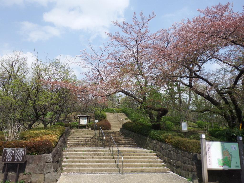経堂コンド 公園