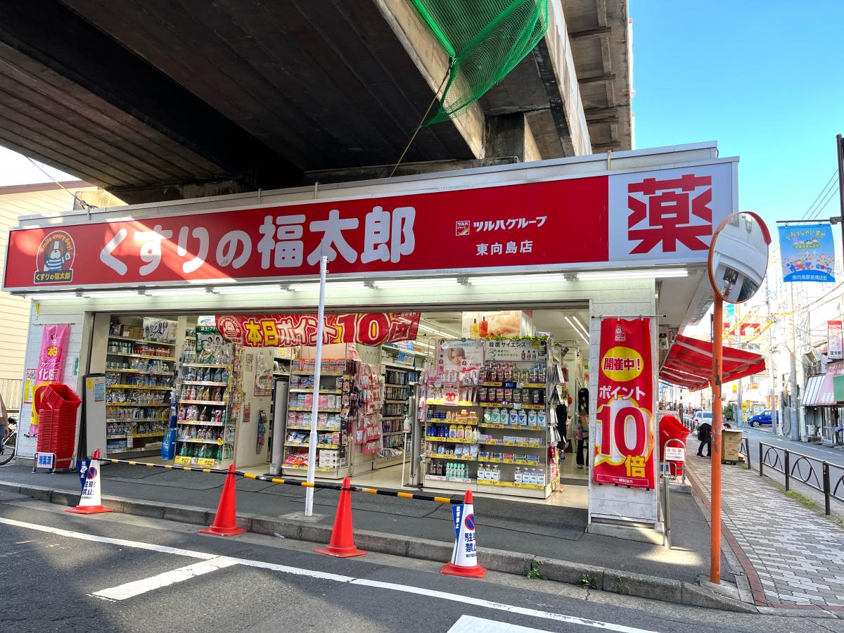 ライオンズマンション東向島第２ ドラッグストア