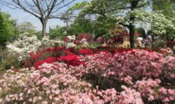 オリンピックマンション桜台第２ 公園
