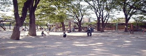 西荻台マンション 公園