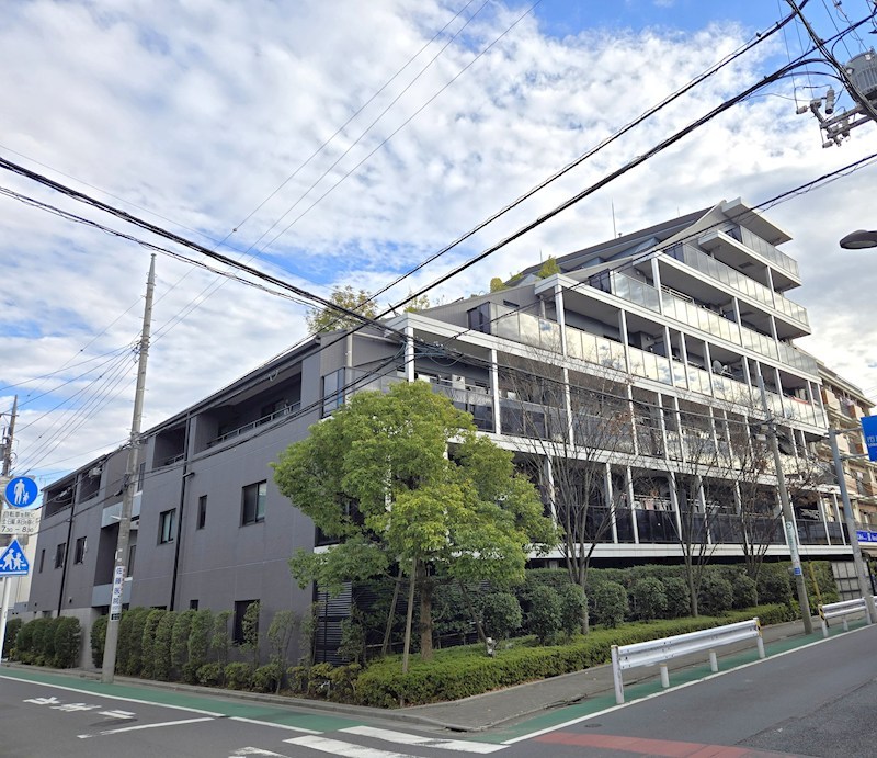 アデニウム北小岩 現地写真